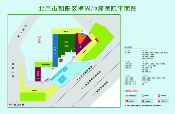 啊啊啊日本不要APP北京市朝阳区桓兴肿瘤医院平面图